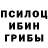 Псилоцибиновые грибы мицелий Corrupt Disk
