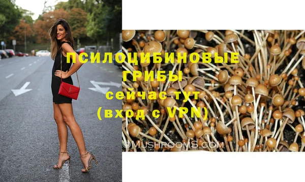 крисы Краснотурьинск