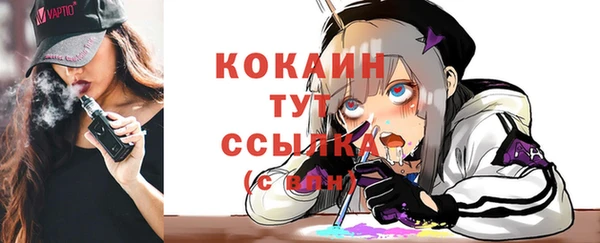 шишки Краснослободск
