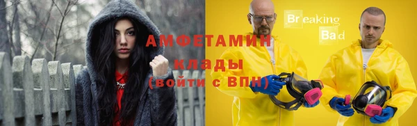 шишки Краснослободск