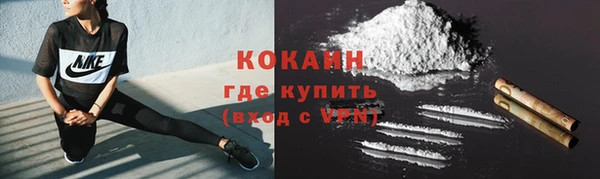 шишки Краснослободск
