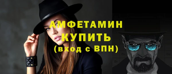 шишки Краснослободск