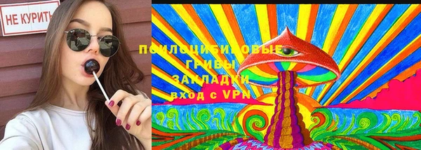 шишки Краснослободск