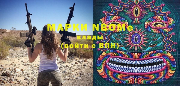 шишки Краснослободск