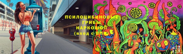 сатива Красноперекопск