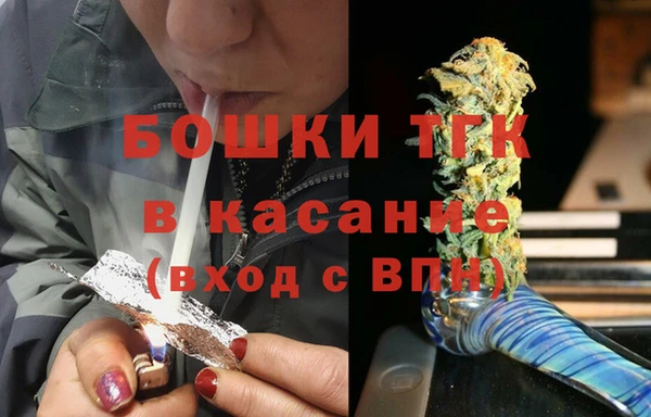 шишки Краснослободск