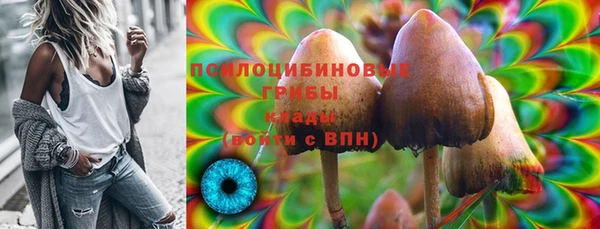 шишки Краснослободск