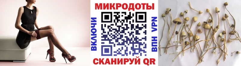 Купить где  Горбатов  Псилоцибиновые грибы ЛСД 